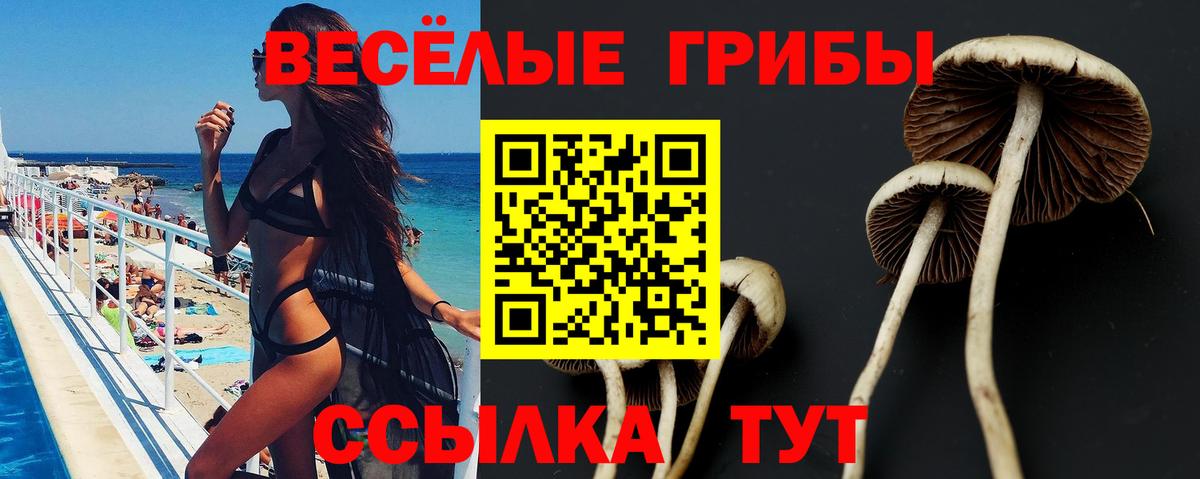 купить  сайты  Вход с VPN  Дятьково  Галлюциногенные грибы Psilocybine cubensis 
